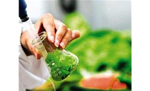 合肥食品檢測：重金屬元素中常見的元素有哪些？
